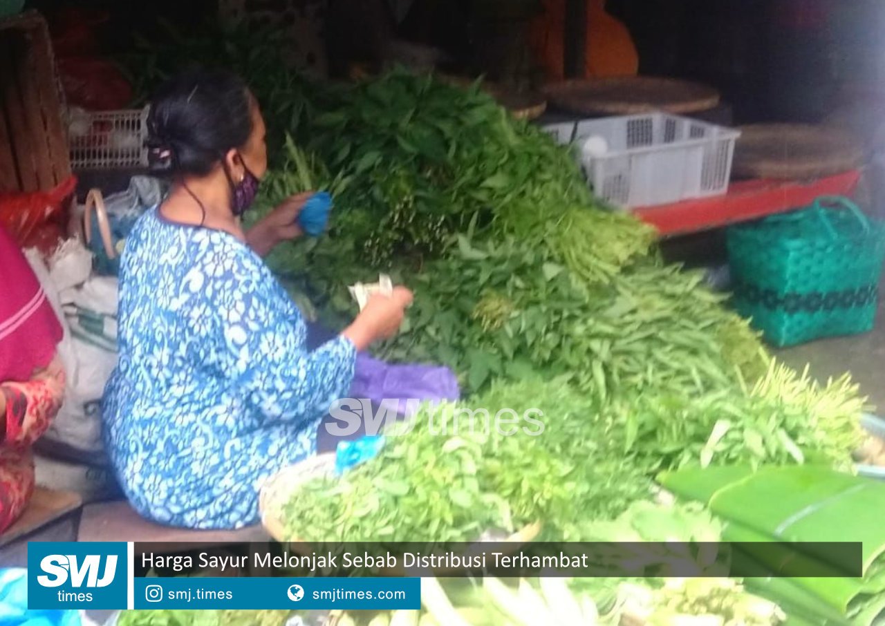 sayur melonjak