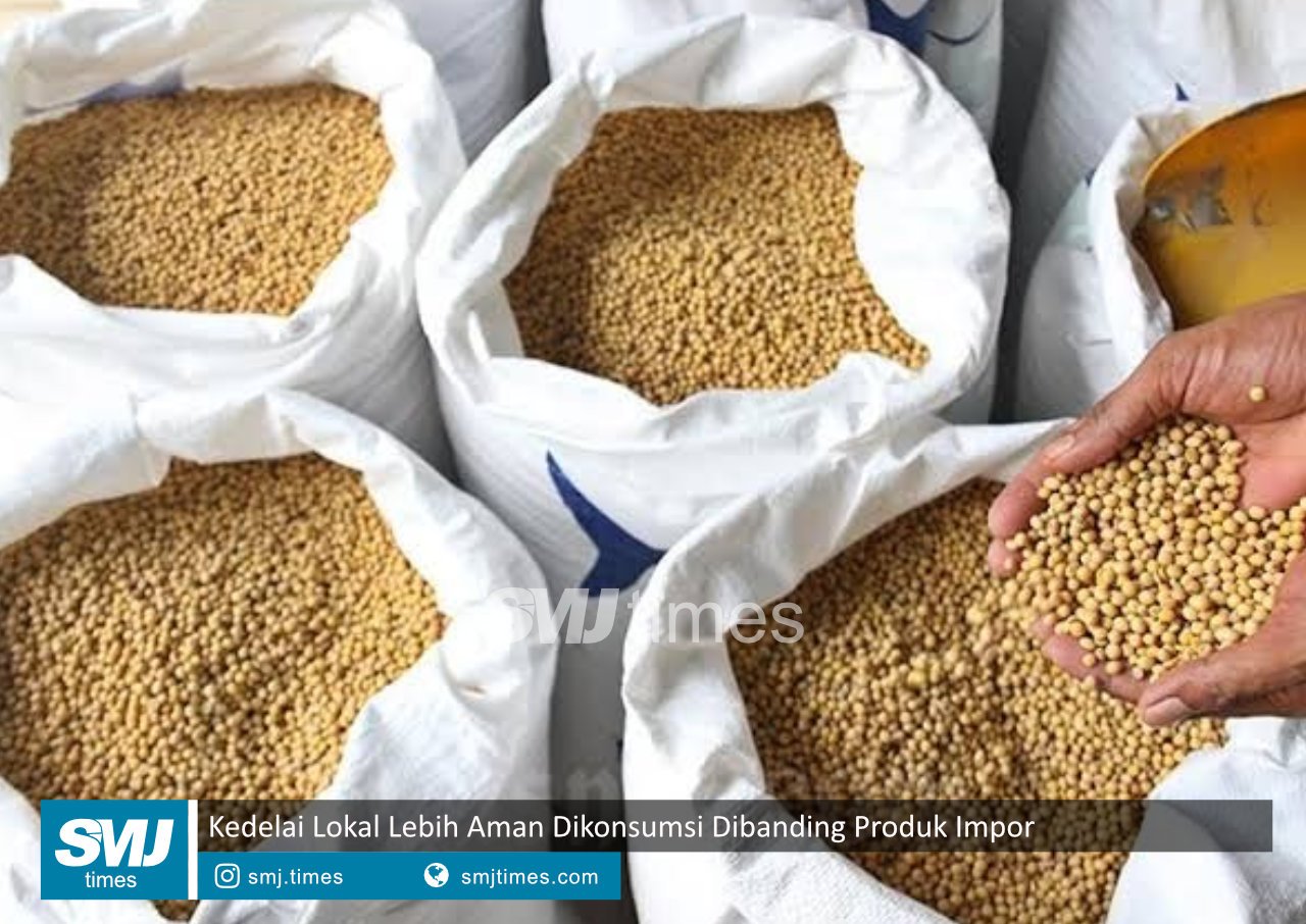 kedelai lokal