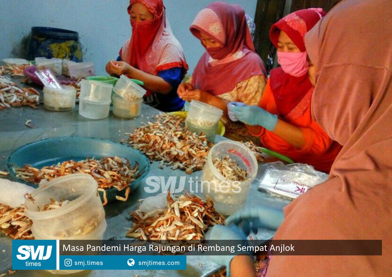 harga rajungan