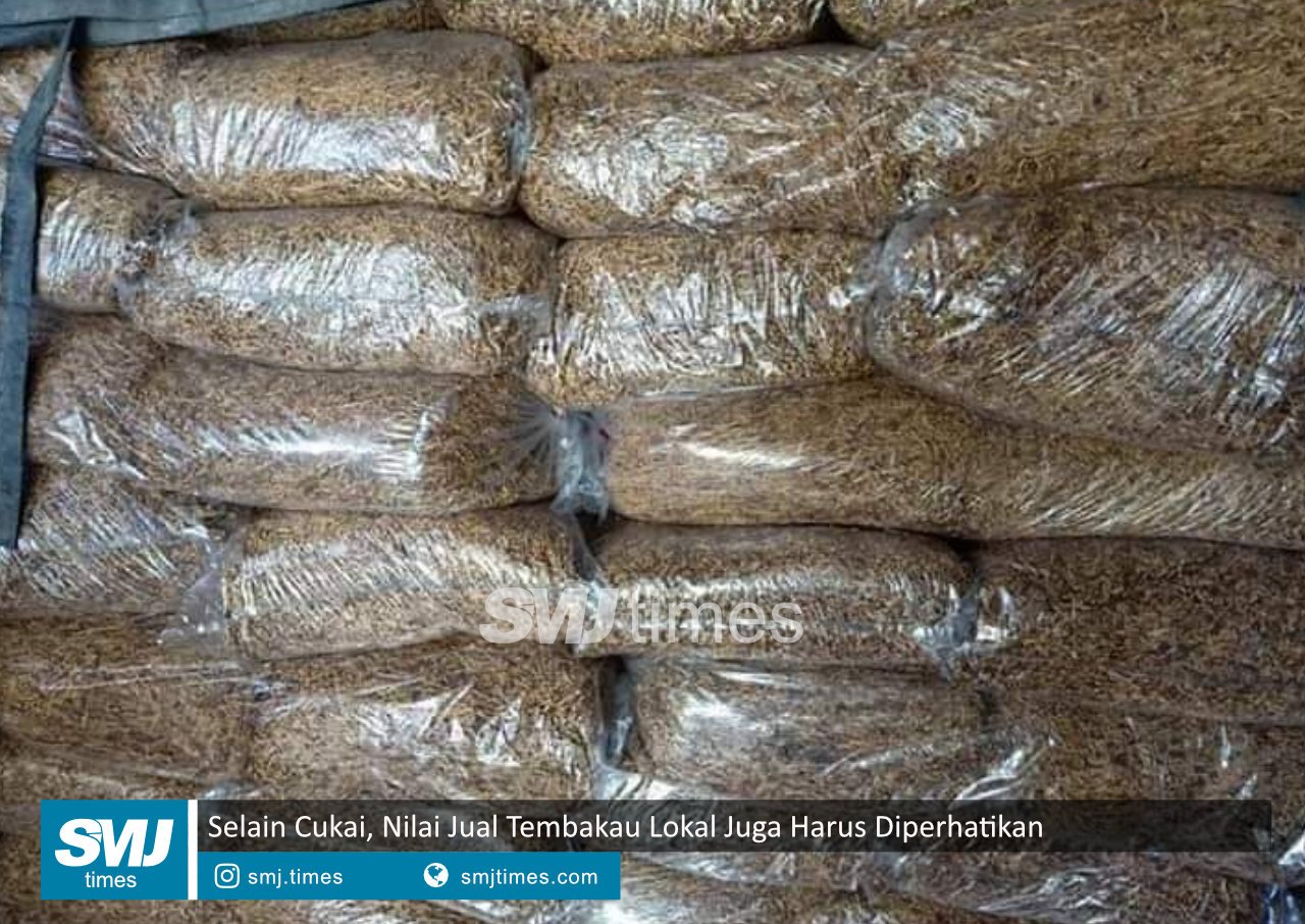 tembakau lokal