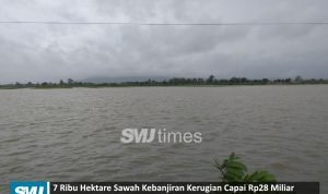 sawah kebanjiran