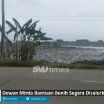 bantuan benih