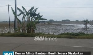bantuan benih