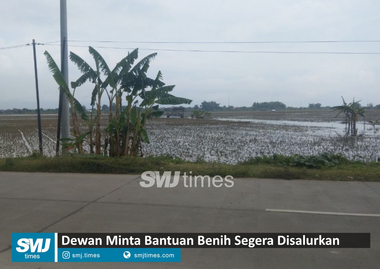 bantuan benih