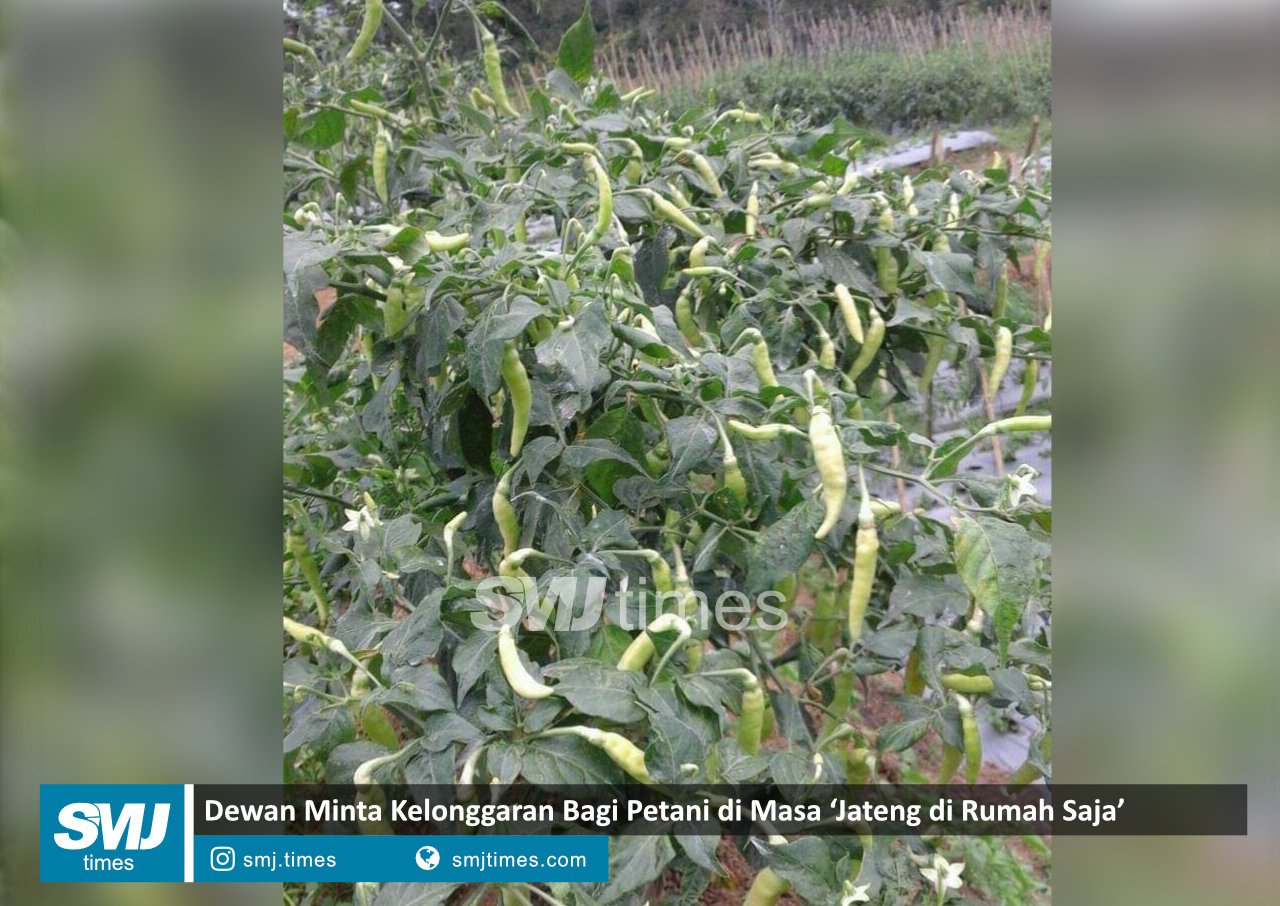 jateng di rumah saja
