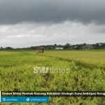 kebijakan strategis