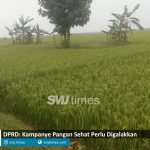 kampanye pangan