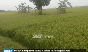 kampanye pangan