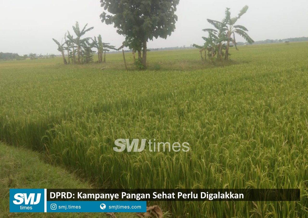 kampanye pangan