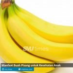 manfaat pisang