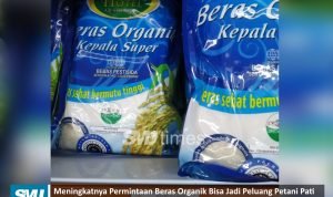 beras organik