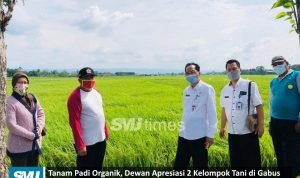 kelompok tani