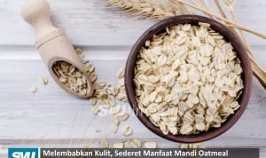 manfaat oatmeal