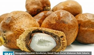 manfaat zuriat