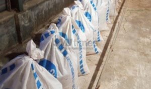 Pemuda Raci Raup Keuntungan dari Penjualan Kotoran Ternak