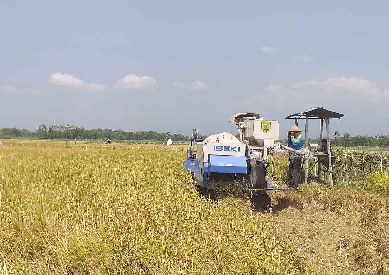 Petani Milenial Diharapkan Berperan Memajukan Sektor Pertanian dan Pangan