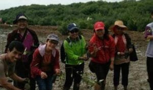 Pemkab Pati Akan Adakan Penanaman Mangrove Pekan Depan