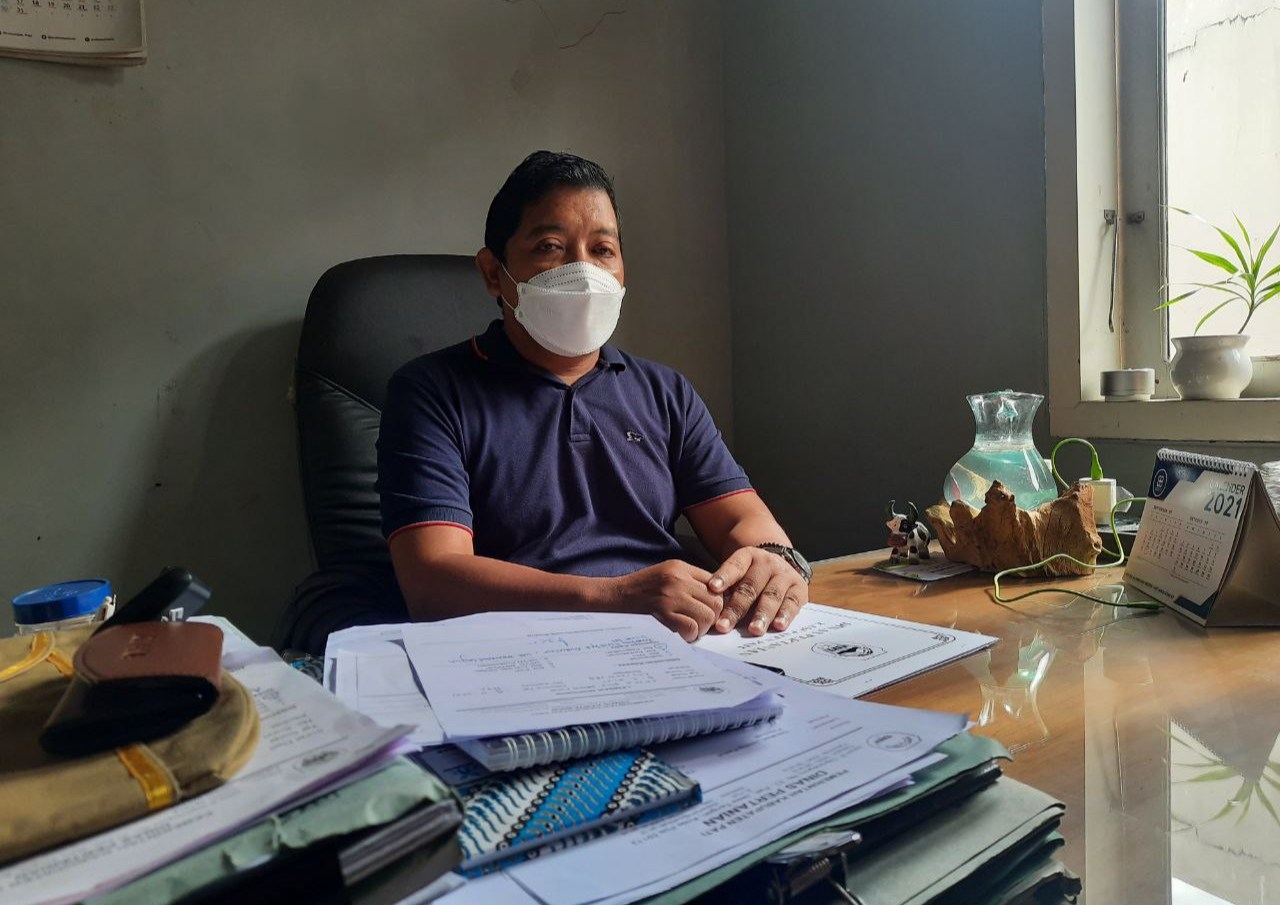 Pati Sudah Lama Bebas Rabies