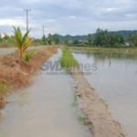 Dewan Dorong Pemkab Pati Tuntaskan Masalah Banjir Secara Menyeluruh