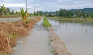 Dewan Dorong Pemkab Pati Tuntaskan Masalah Banjir Secara Menyeluruh