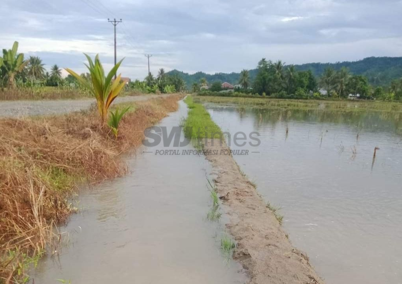 Dewan Dorong Pemkab Pati Tuntaskan Masalah Banjir Secara Menyeluruh