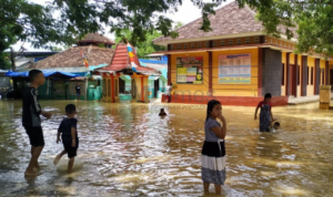 Dewan Pati Imbau Masyarakat Waspada DBD