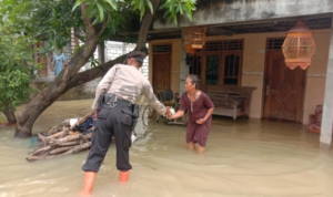 Hutan Gundul Jadi Sebab Pati Banjir