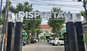 Jelang Ramadan, Harga Telur di Pati Merangkak Naik