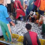 Tarif PNBP Naik 10 Persen di Rembang