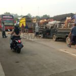 Pasokan Sapi di Rembang Dipastikan Aman