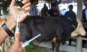 Wakil Rakyat Pati Minta Warga Pati Tak Beli Hewan dari Luar Kota