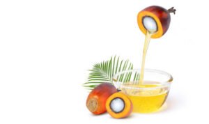 pemerintah