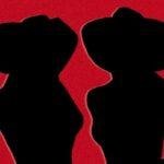 sistar19