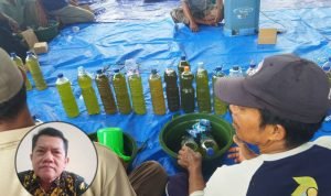 Foto: Ilustrasi pembuatan pupuk organik (Sumber: istimewa)