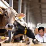 Foto: Ilustrasi peternakan (Sumber: istock)