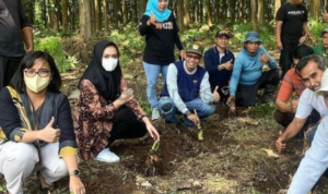 Foto: Anggota DPRD Pati Yeti Kristianti mengajak petani tanam talas beneng (Sumber: Instagram)