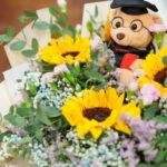 wisuda