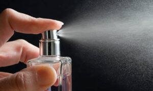 EDP EDT