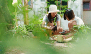 Foto: Ilustrasi kegiatan berkebun di rumah (sumber: istock)