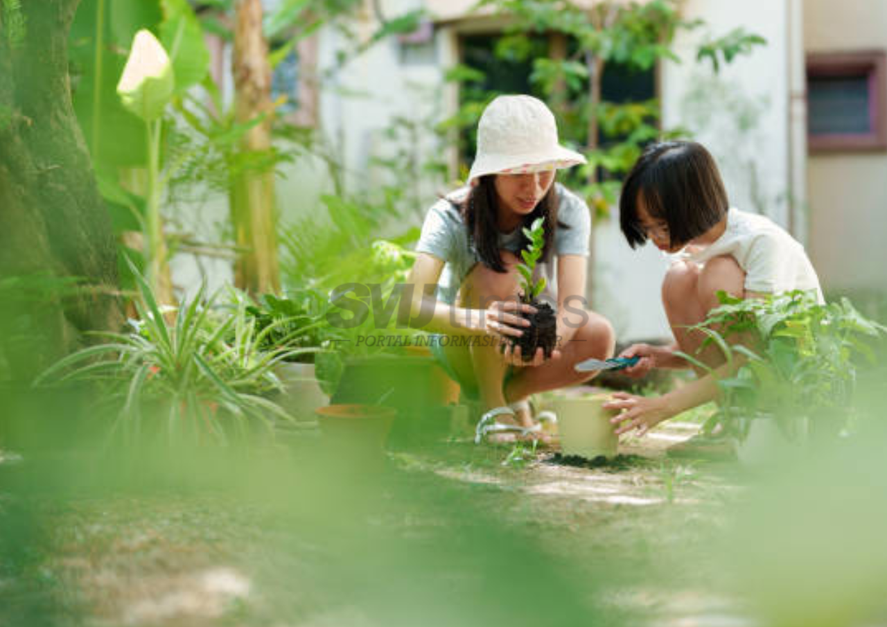 Foto: Ilustrasi kegiatan berkebun di rumah (sumber: istock)