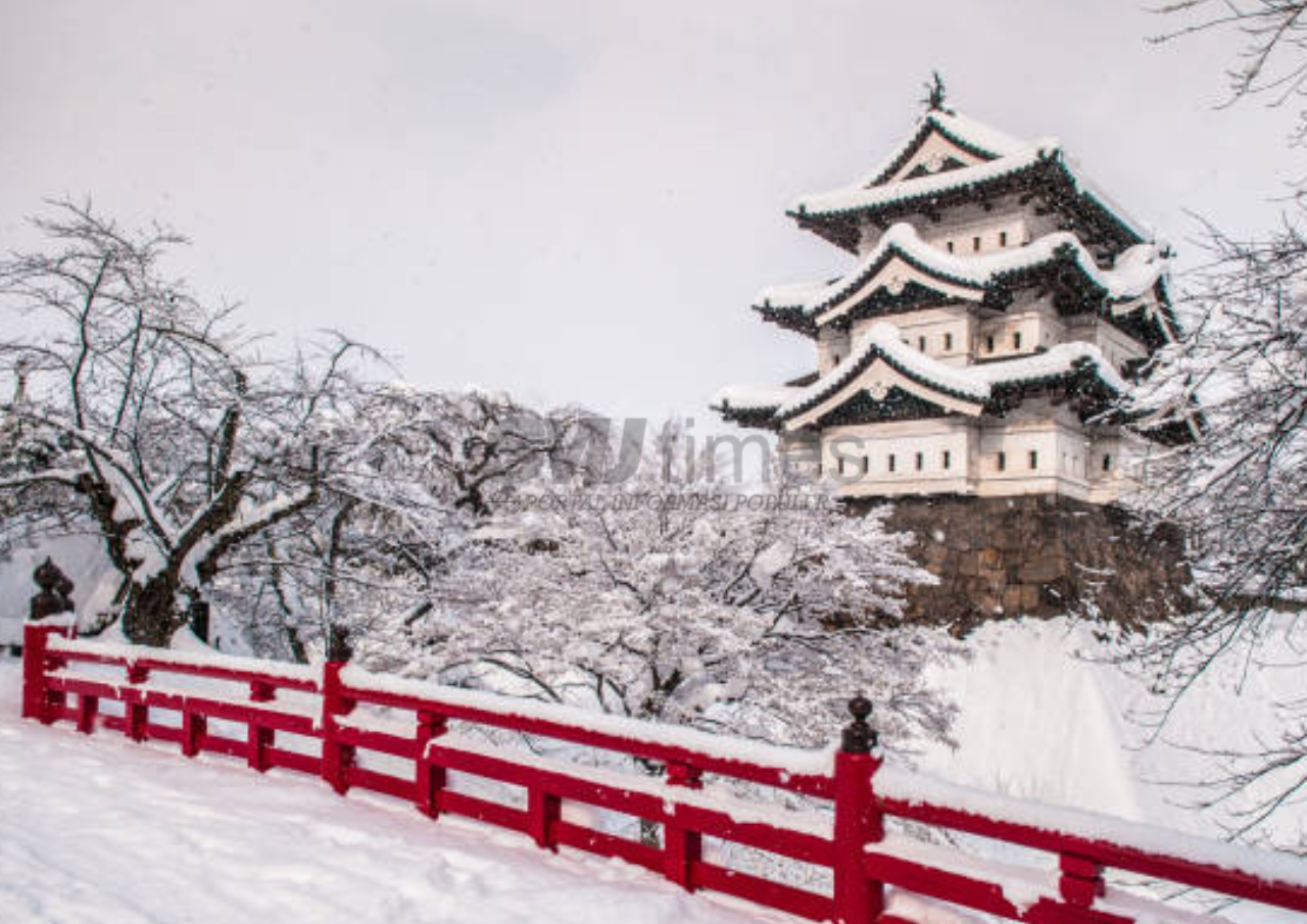 Foto: Salju Berwarna Putih (sumber: istock)