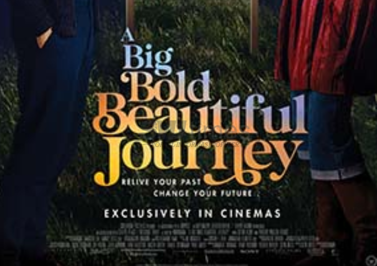 Foto: poster A Big Bold Beautiful Journey (sumber: Cinema XXI)