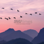 Foto: ilustrasi burung bermigrasi (sumber: istock)