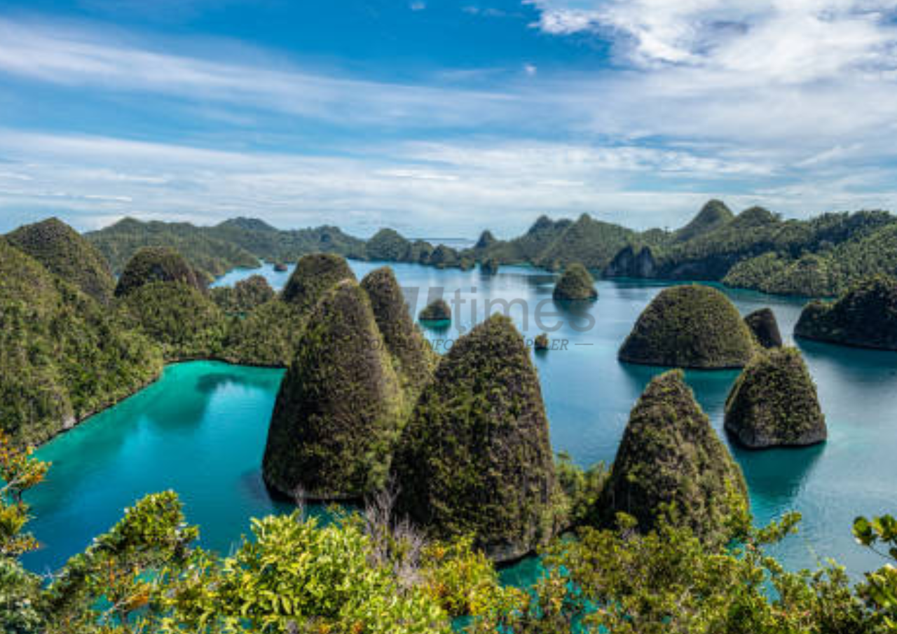 Foto: Pantai Raja Ampat Papua (sumber: istock)