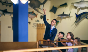 Rekomendasi Wisata Edukasi yang Cocok untuk Kunjungan Singkat