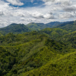 Pegunungan dengan Hujan Hujan di Sumatera, Indonesia Ada Indonesia, Berikut 3 Negara dengan Hutan Terluas yang Warganya Masih Didera Kemiskinan