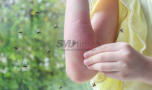 Ahli Entomologi IPB Sebut Deforestasi Ancam Kesehatan Manusia melalui Tingginya Populasi Nyamuk