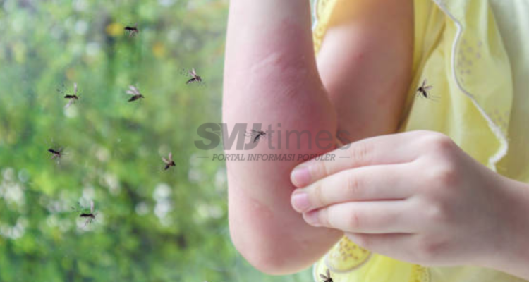 Ahli Entomologi IPB Sebut Deforestasi Ancam Kesehatan Manusia melalui Tingginya Populasi Nyamuk