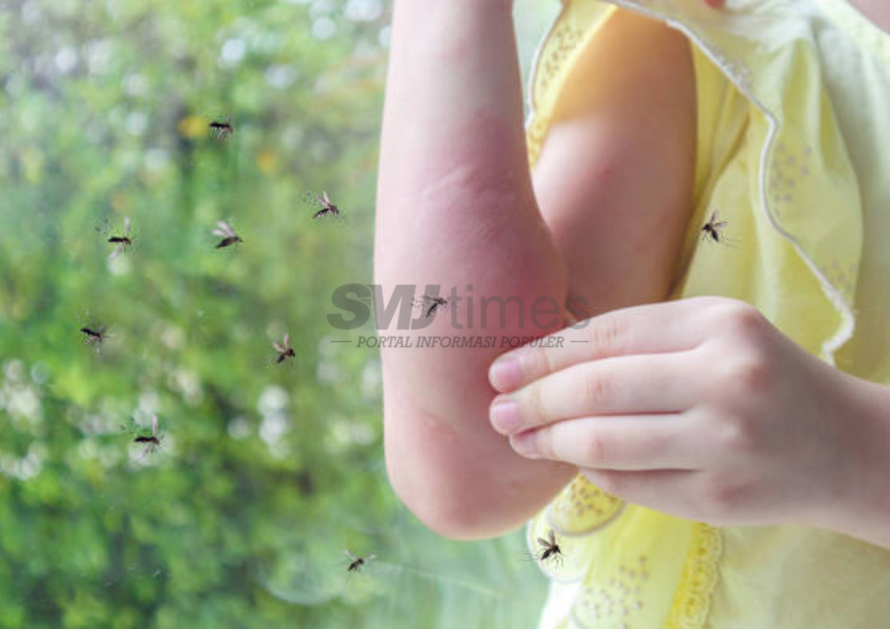 Ahli Entomologi IPB Sebut Deforestasi Ancam Kesehatan Manusia melalui Tingginya Populasi Nyamuk