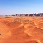 Strategi Iklim Negara Arab: Impor Jutaan Pohon per Tahun di Tengah Pesatnya Kota Besar